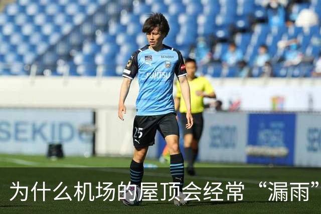 为什么机场的屋顶会经常“漏雨”？用“苔藓”来接漏水也不过是“缓解下旅客心情”而已！