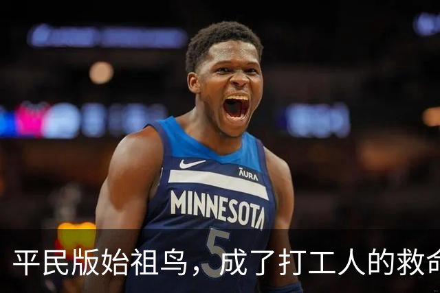 平民版始祖鸟，成了打工人的救命神装