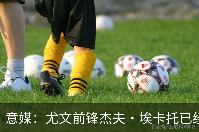 意媒：尤文前锋杰夫·埃卡托已经伤愈复出，重返全队合练