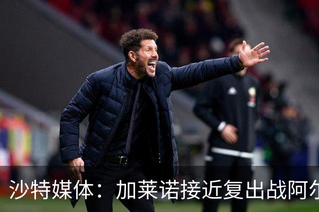 沙特媒体：加莱诺接近复出战阿尔沙巴布