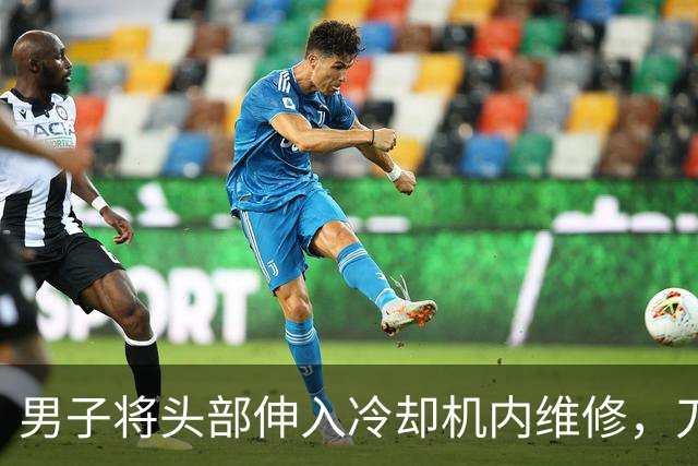 男子将头部伸入冷却机内维修，刀片杆突然转动并击中他的后脑勺，现场抢救无效死亡，中山披露事故调查报告