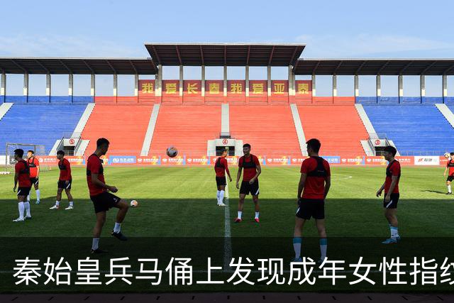 秦始皇兵马俑上发现成年女性指纹和15岁以下少年指纹，学界首次以量化的生物学证据表明，除成年男性外，女性与少年可能也参与了秦俑制作