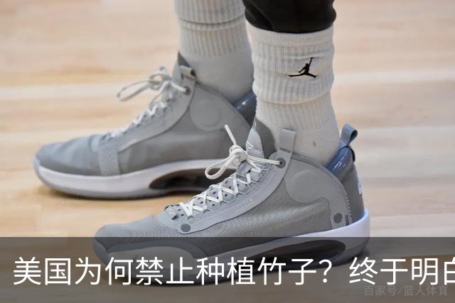 美国为何禁止种植竹子？终于明白，原来竹子比我们想象的更可怕