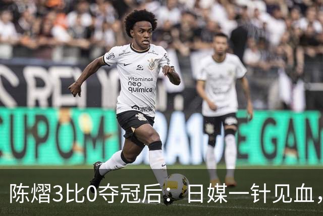 陈熠3比0夺冠后：日媒一针见血，指出张本美和惨败原因