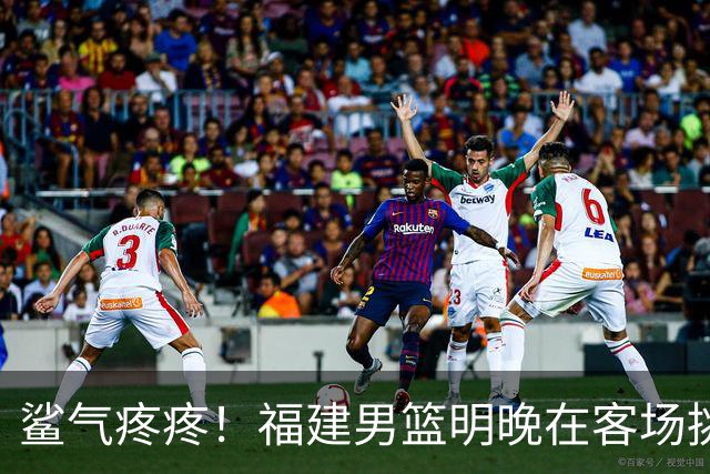 鲨气疼疼！福建男篮明晚在客场挑战卫冕冠军上海男篮