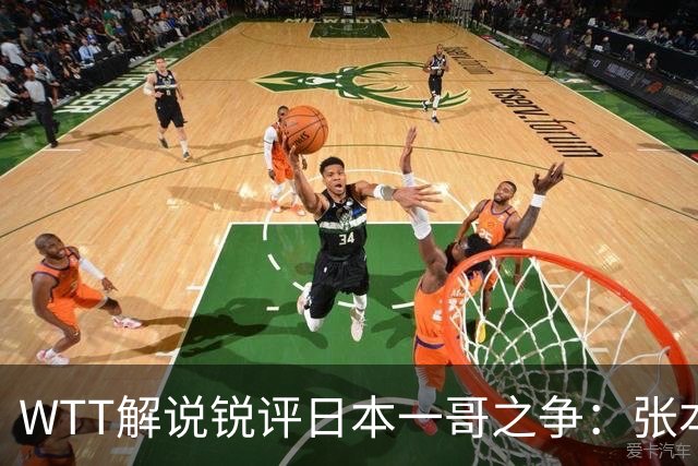 WTT解说锐评日本一哥之争：张本打法简单难破国乒，松岛辉空能力更强！